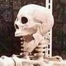 Eduardo Sbra's profile picture