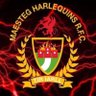 Maesteg Harlequins ⚫️🔴's profile picture
