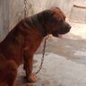 Emmalexx profil fotoğrafı