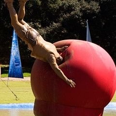 ToryWipeout's profile picture
