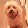 yuki's profile picture