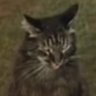 Darrin Brunk's profile picture