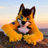 Zale Husky 的头像