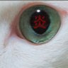 勘太郎ーKantaroー's profile picture
