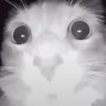 MoxMox's profile picture