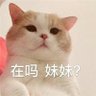 Profilbild von xiaoyan