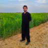 Ali Aayan's profile picture