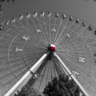 Shane's profile picture