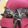 poojyanai profil fotoğrafı