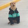 ItsRpx's profile picture