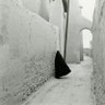 بنت الصحراء 🇩🇿🤍🇸🇦🤍🇵🇸 profil fotoğrafı
