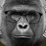 Maximus Wangstein's profile picture