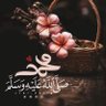 Mohmmed Alnashry 的头像