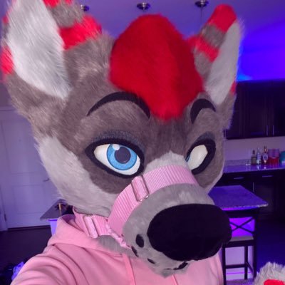 DayzerHusky's profile picture