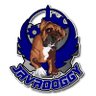 Javadoggy profil fotoğrafı
