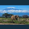 Ghana's profile picture