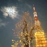 Фото профиля トクナガ(元福祉用具屋)