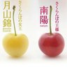 Фото профиля 温室さくらんぼ