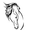 ABDULLAH AL MERSHED's profile picture