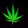 Timothy Masinde's profile picture