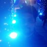 Abhishek S's profile picture