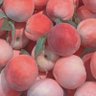 Profilbild von 你在想Peach
