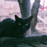 いとま profil fotoğrafı
