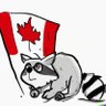 Фото профиля TorontoRaccoon
