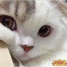 Badem sinem's profile picture