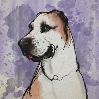 Саня с ебалаем's profile picture