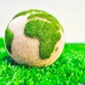 The Fake Turf Guy 的头像