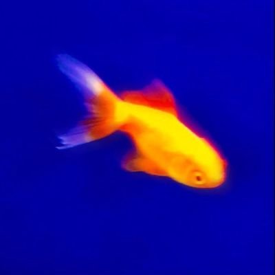 imnotrow's profile picture