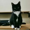 bb's profile picture