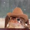 Profilbild von Rocco