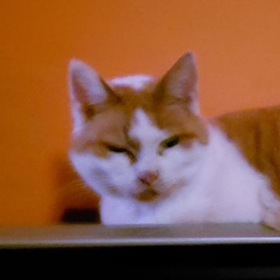 r/penisquestion's profile picture