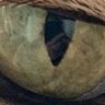 Profilbild von Stereo World