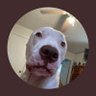 Aaron Atkinson's profile picture