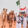 Фото профиля اسامة الزهيري #سبأ