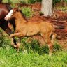 Фото профиля Rico 🐎🐎