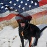 Paddledogmom's profile picture