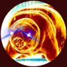 Trader Tardigrade's profile picture