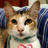 sandra ramos da silv's profile picture