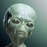 Profilbild von Martin