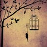 Eighty 6 Mockingbird's profile picture