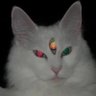 Profilbild von a kid