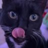Brandi's profile picture