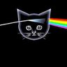 Cats Likes Prog profil fotoğrafı