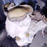 myconaut profil fotoğrafı
