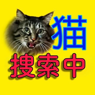tantan2022maigo's profile picture