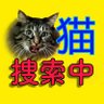 迷い猫たんたん埼玉県越谷市 拡散希望's profile picture